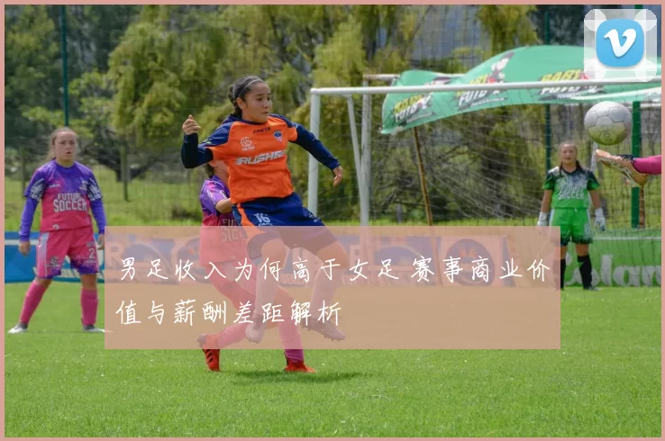 男足收入为何高于女足 赛事商业价值与薪酬差距解析