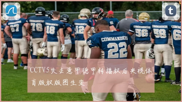 CCTV5失去意甲德甲转播权后央视体育版权版图生变