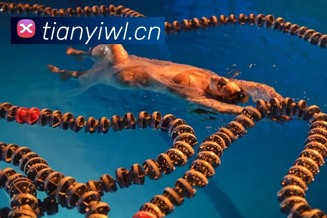 数据分析功能
